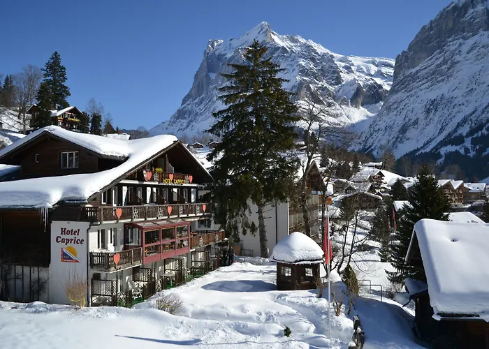 ホテル カプリス - グリンデルワルト 3*