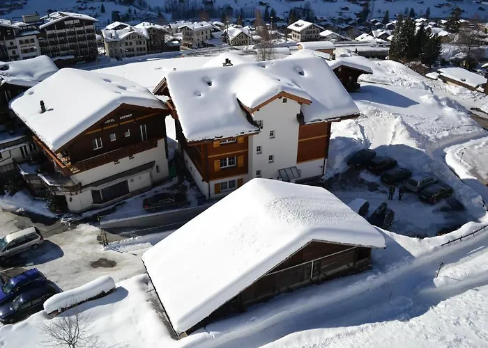 ホテル カプリス - グリンデルワルト 3*