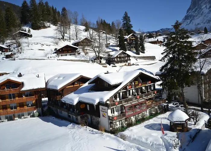 カプリス - グリンデルワルト 3*