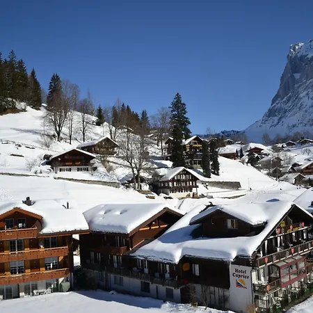 ホテル カプリス - グリンデルワルト